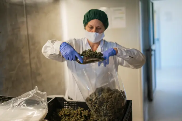 Weed For Sale In Bahrain 