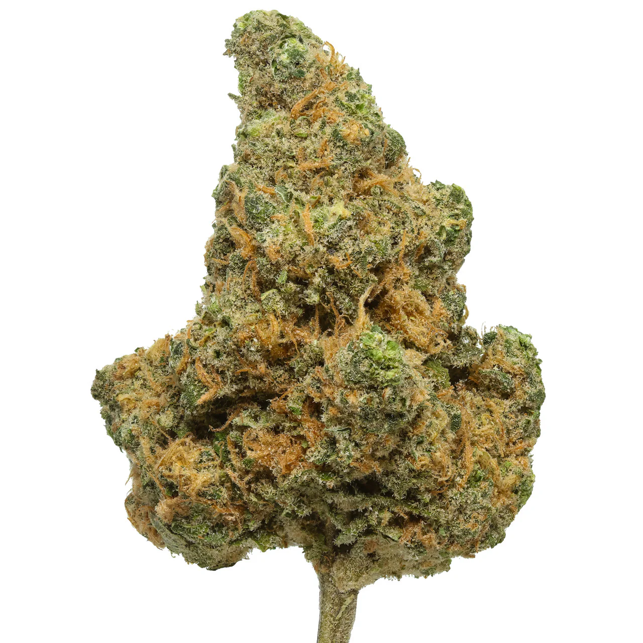 Where to Buy Weed or THC Vape in Bahrain as a Tourist A Complete Guide